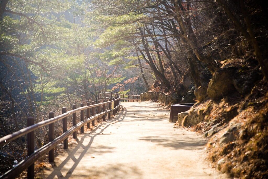 Breakaway Days: The Micro Escape That Heals the Mind